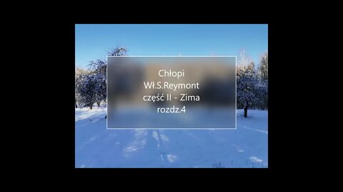 Chłopi -Wł.S.Reymont część II -Zima rozdz.4