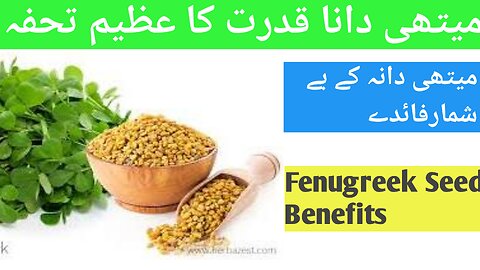 Fenugreek seeds Benefits and use