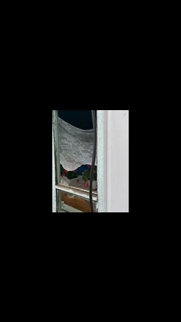 🇺🇦🇷🇺The Armed Forces Of Ukraine Shelled The Bryansk Region Today Which Has No Military Targets🤔