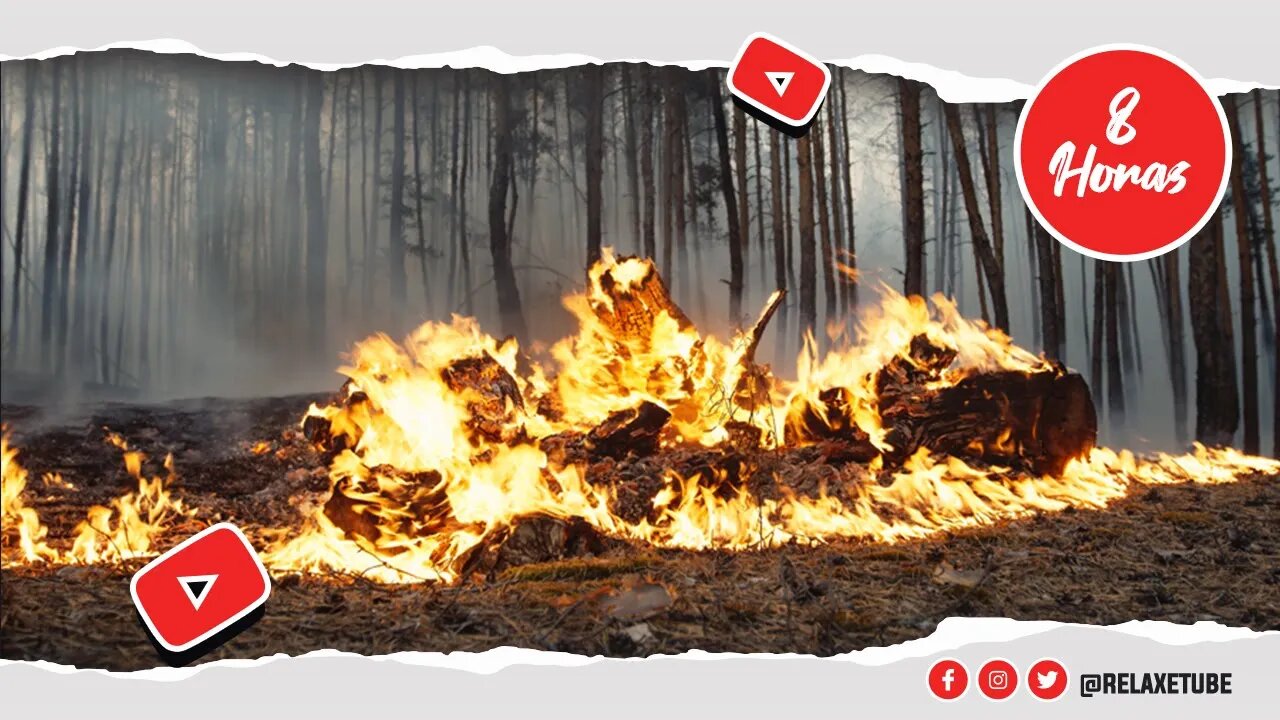 🎧 RUÍDO DE QUEIMADAS DE MADEIRA NA FLORESTA IDEAL PARA RELAXAR PROFUNDAMENTE 🔥 SOM DE FOGO 🕒 8 HORAS