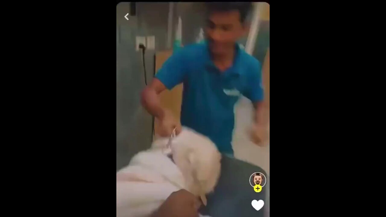 India: A clinic grooming dogs . The worker beats the crap out of the poor Dog