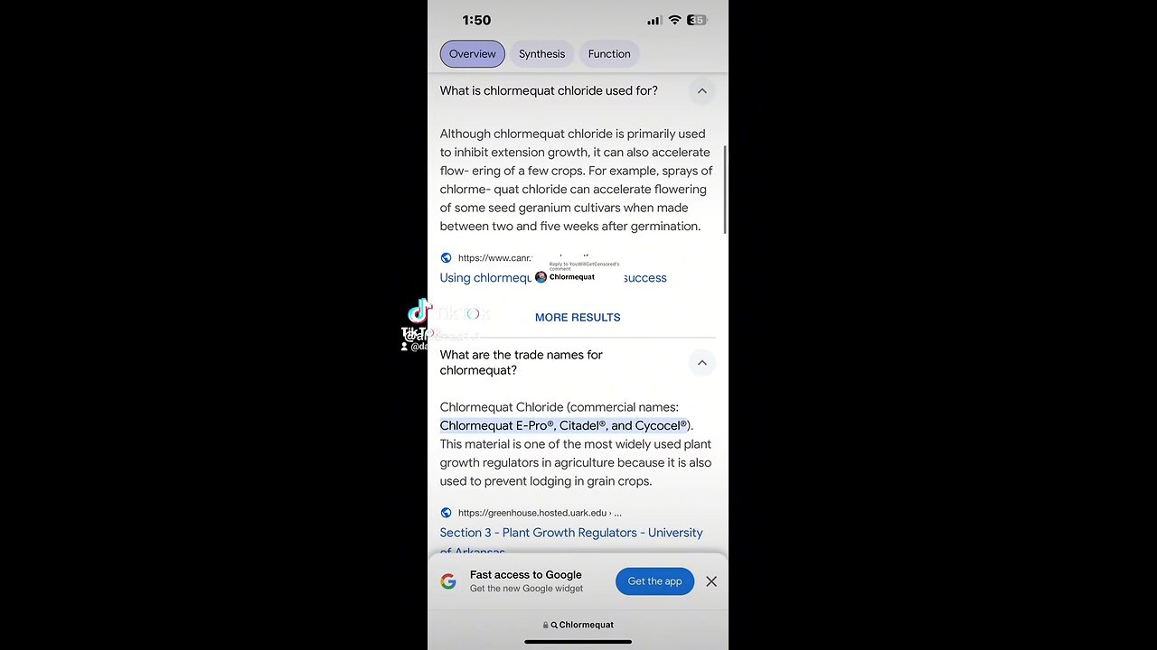 Are we entertained yet!