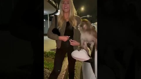 Cats And Dogs ] { Animal Comdy }
