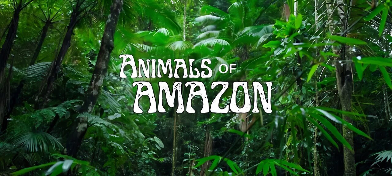 Animals of amazon