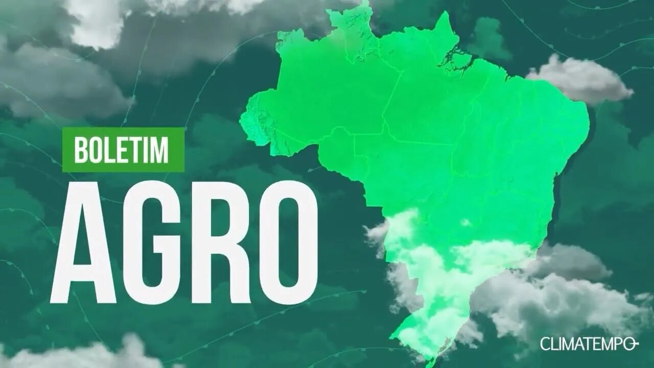 Chuva ainda atrapalha o plantio do trigo nesse inicio de Inverno - Boletim Agro