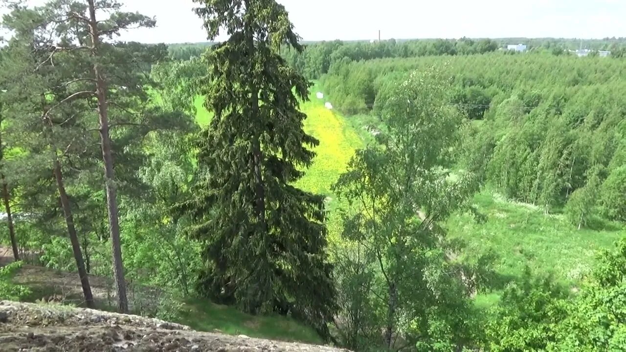Kalliolle, kukkulalle.. kesä. 10.6.2022