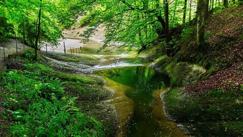 The soothing sound of a stream. Forest stream. Sounds of nature.