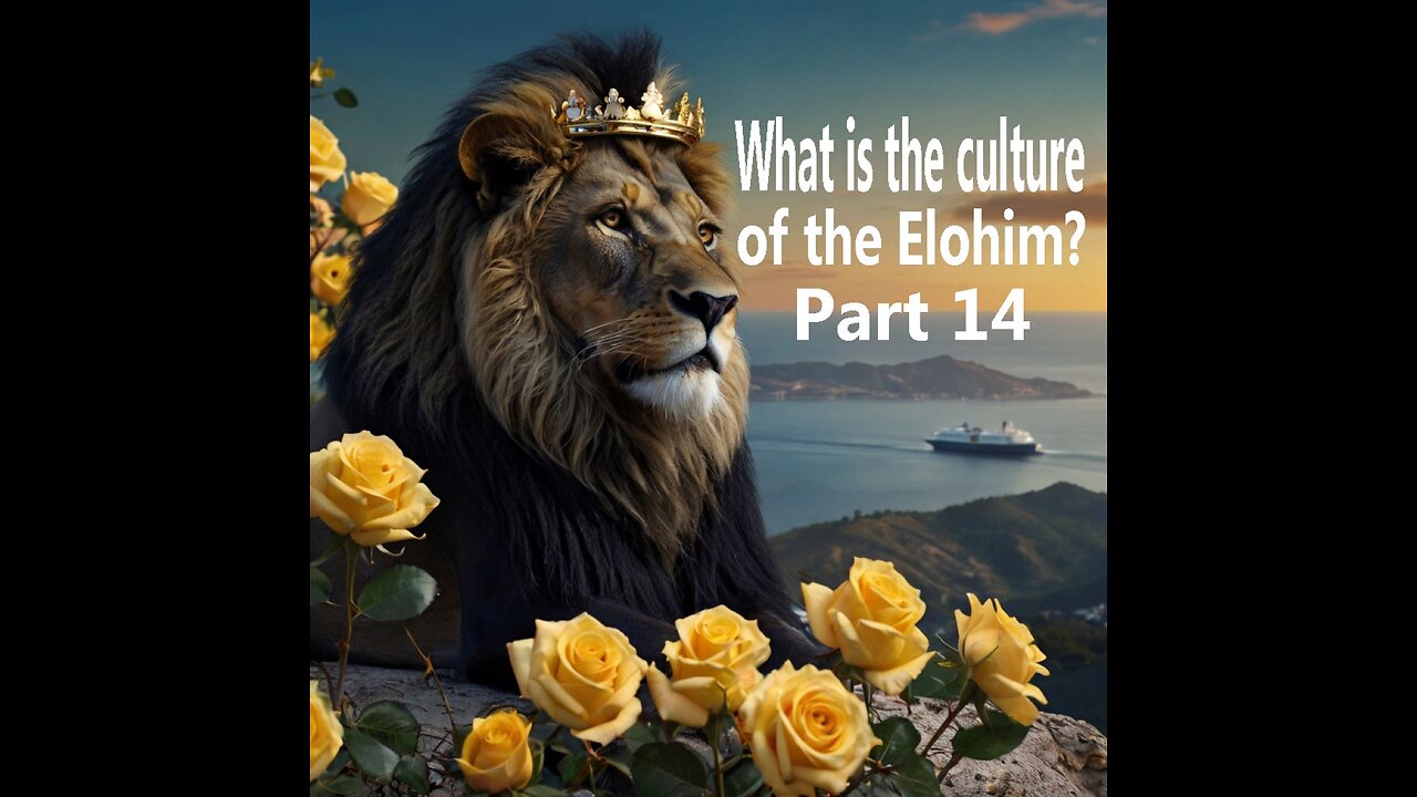 What is the culture of the Elohim ? Part 14