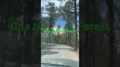 Gila National Forest just outside Silver City, New Mexico