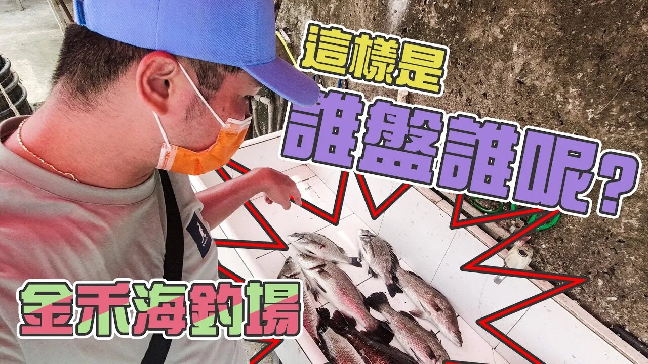 【台客去釣魚】釣魚人要變通！當某個釣法魚不咬就要趕快換釣組，不然就...？ feat.金禾海釣場