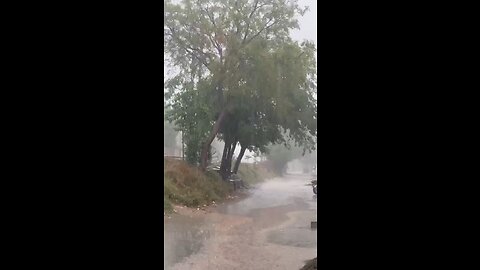 Thunderstorms in my area