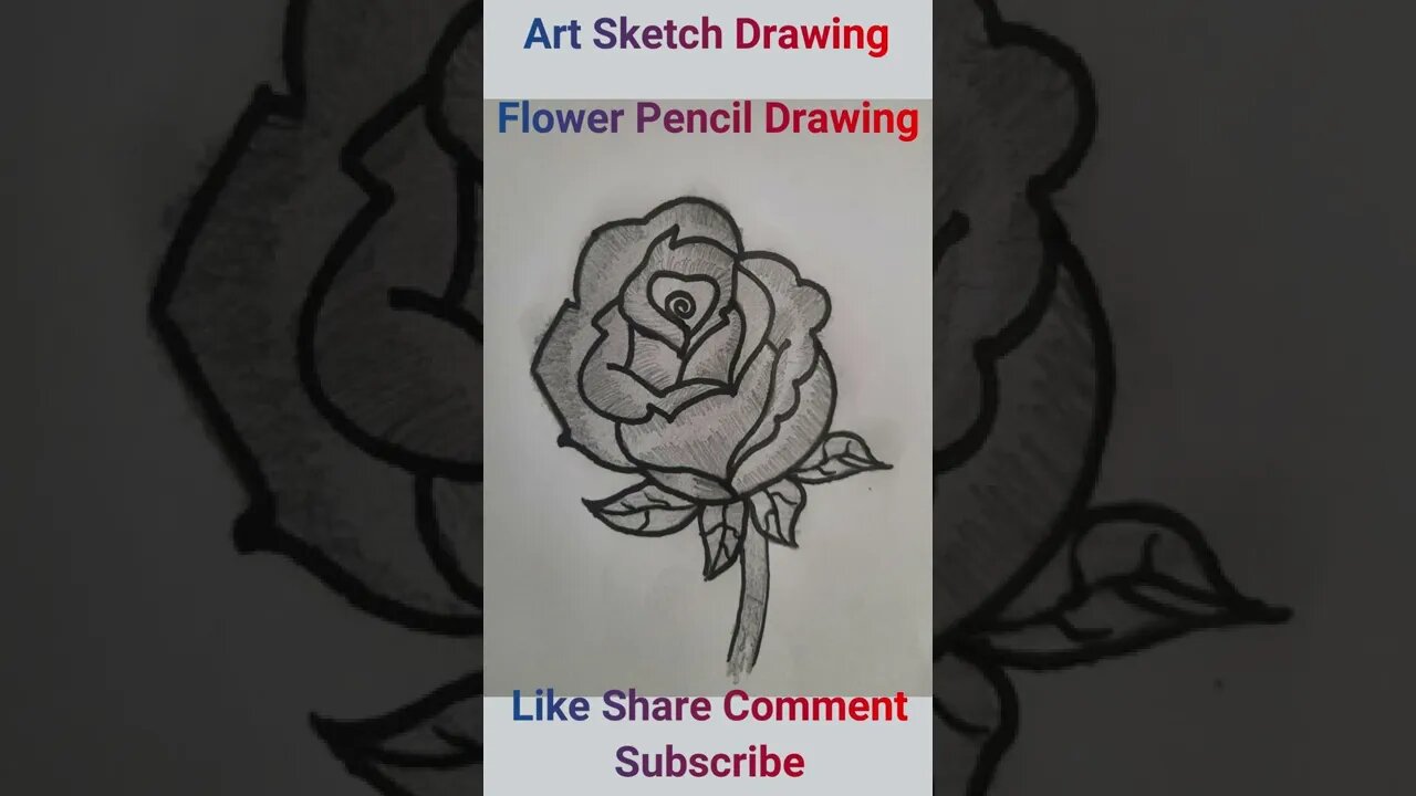 Pencil Drawing Easy Flower Shorts-4 l Easy Pencil Drawing #shortvideos #flowerdrawing