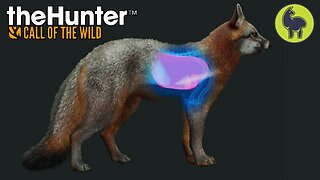 Heartbreaker, Hunt Club | theHunter: Call of the Wild (PS5 4K 60FPS)