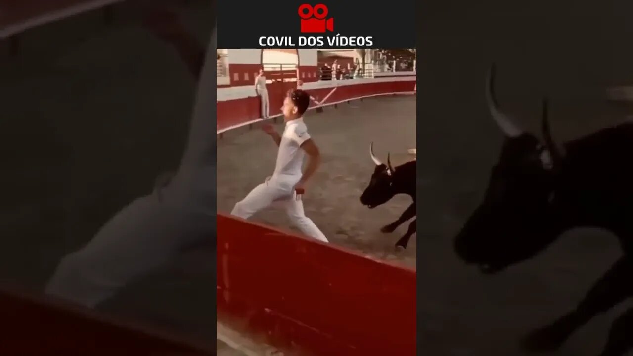 profissão perigosa 😱😱