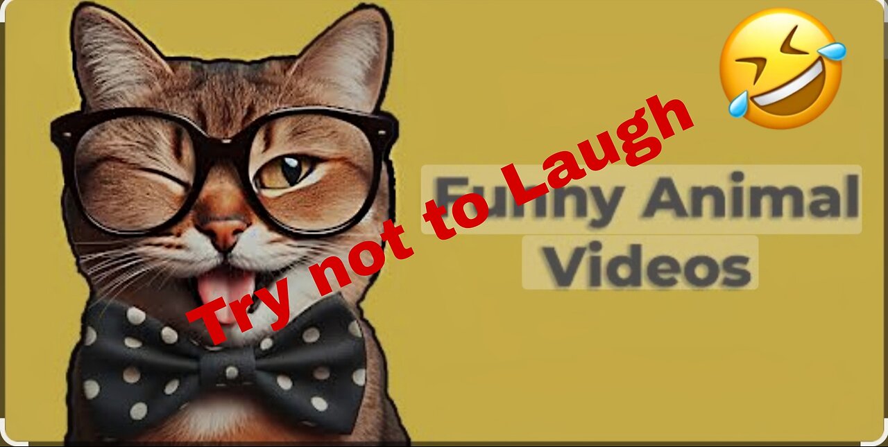 Funny_cat_videos