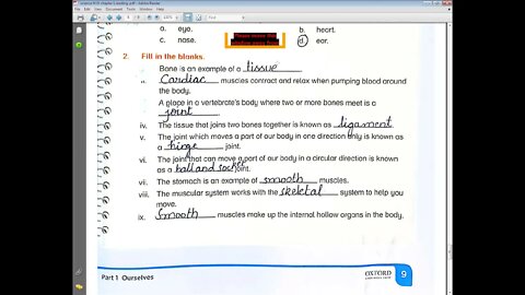 science, class 4, 6 4 2021