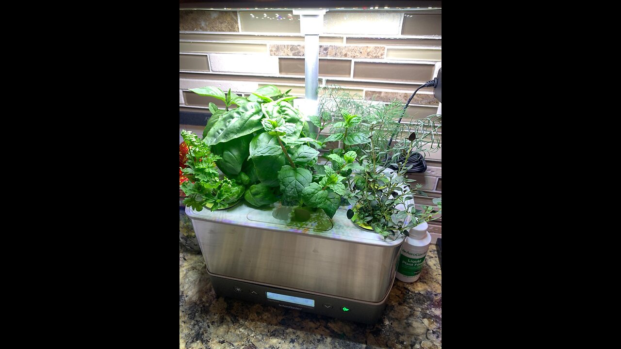 AeroGarden Harvest Elite with Gourmet Herb Seed Pod Kit - Hydroponic Indoor Garden, Stainless S...