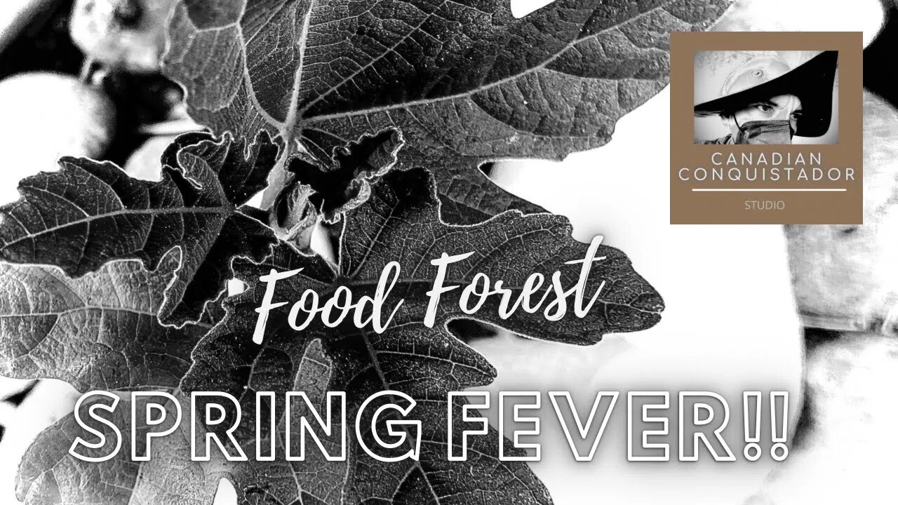 Backyard Gardening | Spring Fever #FoodForest #Arvada