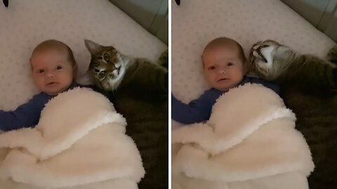 Dangerous!!! Never leave your baby alone with Cat