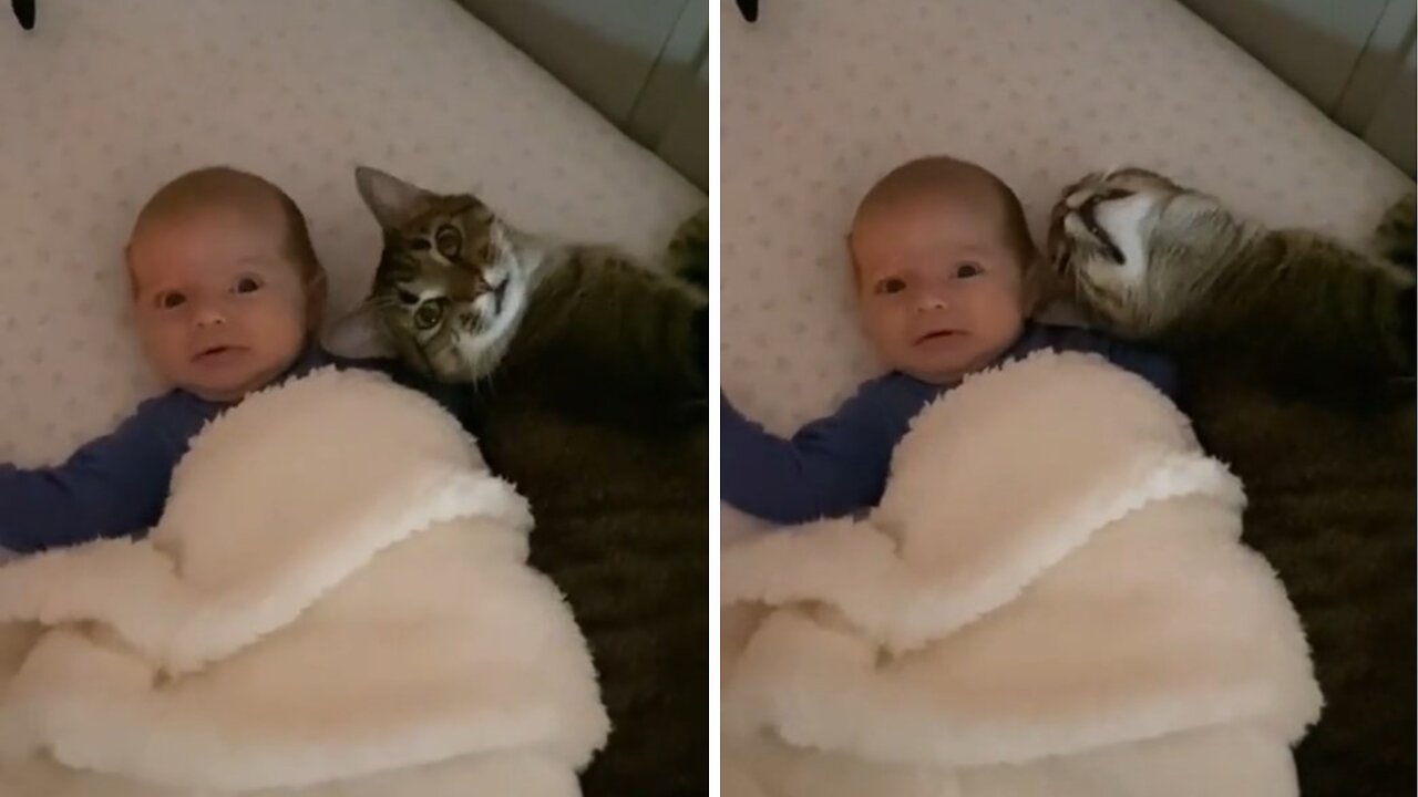 Dangerous!!! Never leave your baby alone with Cat