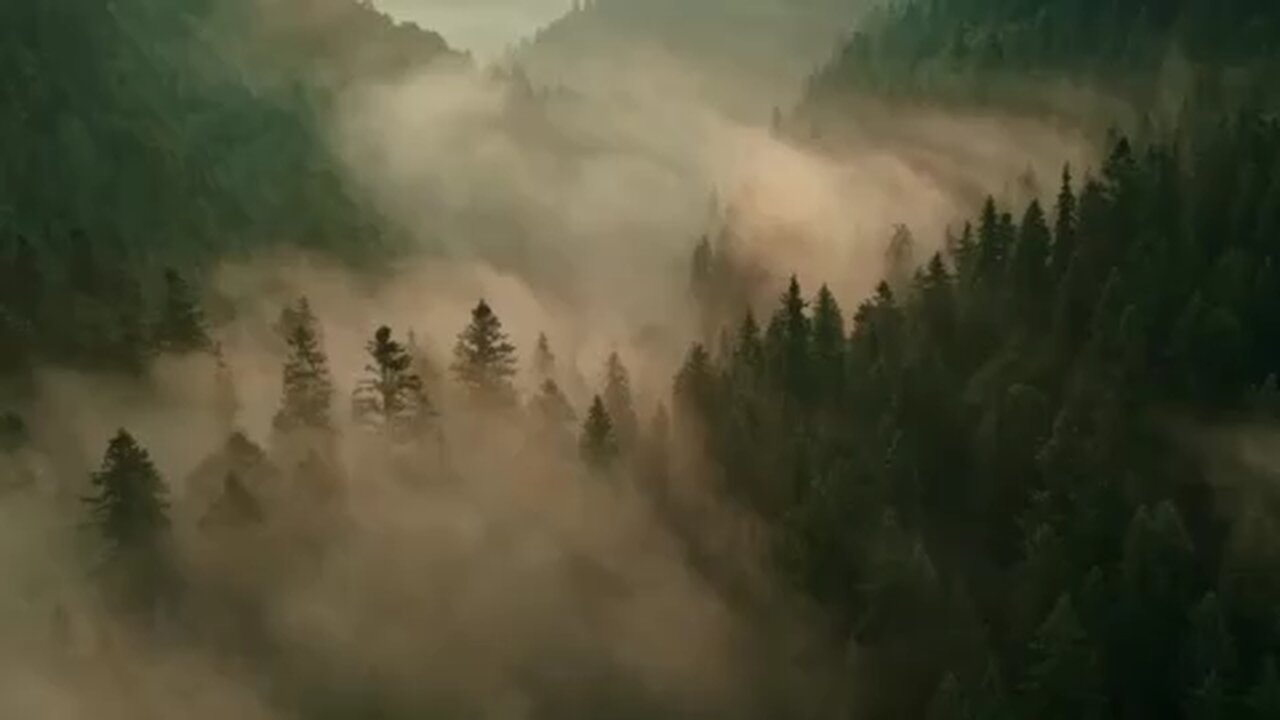 What the Media Won't Tell You About Jacob Rothschild.