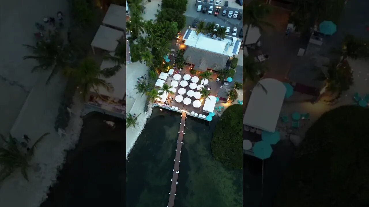 🌴A Grand Tiki Bar in Paradise 🐠❤️Tropical Key Largo #snooks #djimini3pro
