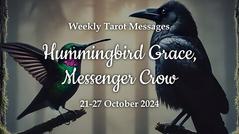 Hummingbird Grace Messenger Crow - Weekly Tarot Messages