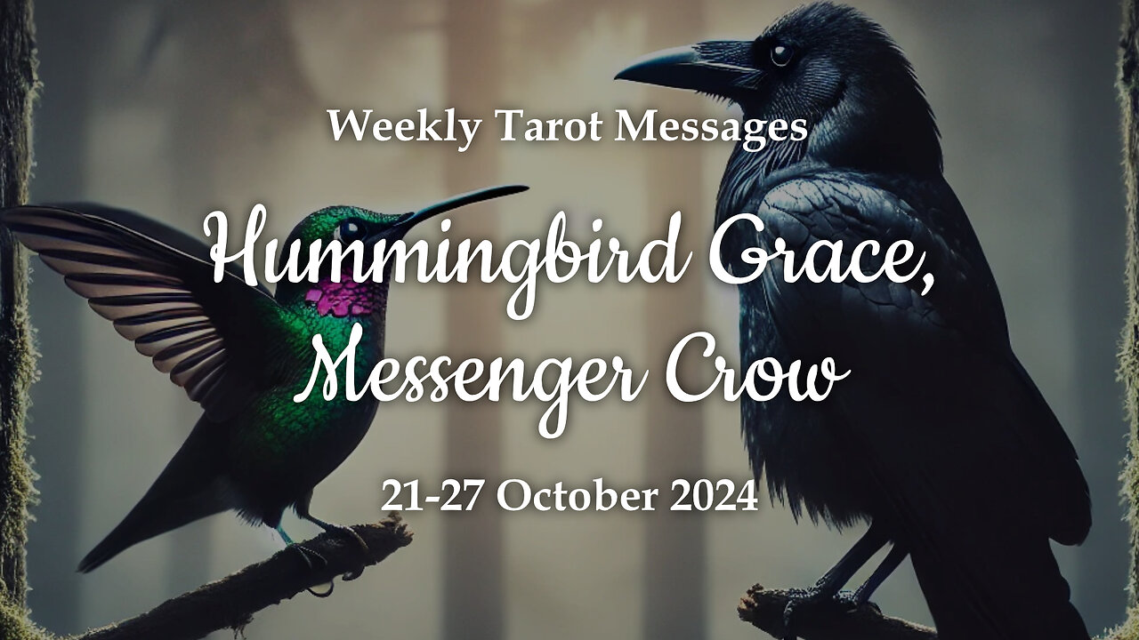 Hummingbird Grace Messenger Crow - Weekly Tarot Messages