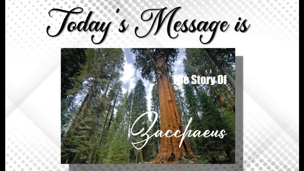 Dr. Paul Schwanke : The Story Of Zacchaeus"