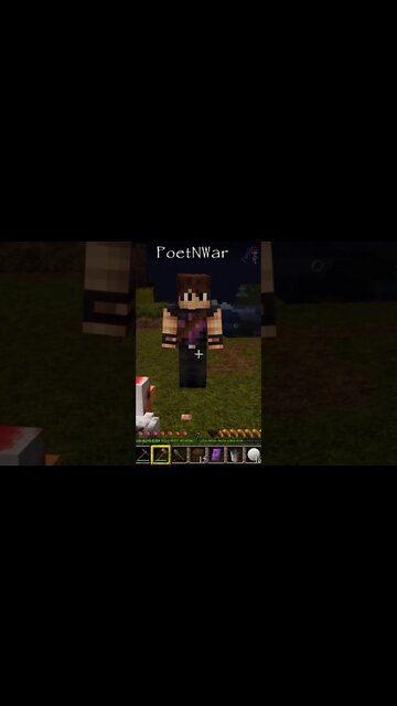 Minecraft Hardcore Extreme "Zombie Dog" HD #shorts 5