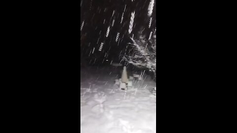 Night Snowfall in Our Hotel in Manali