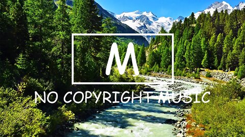 Tonto - Silent Partner（Mm No Copyright Music）