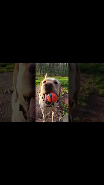 Are You Getting Sassy With Me?