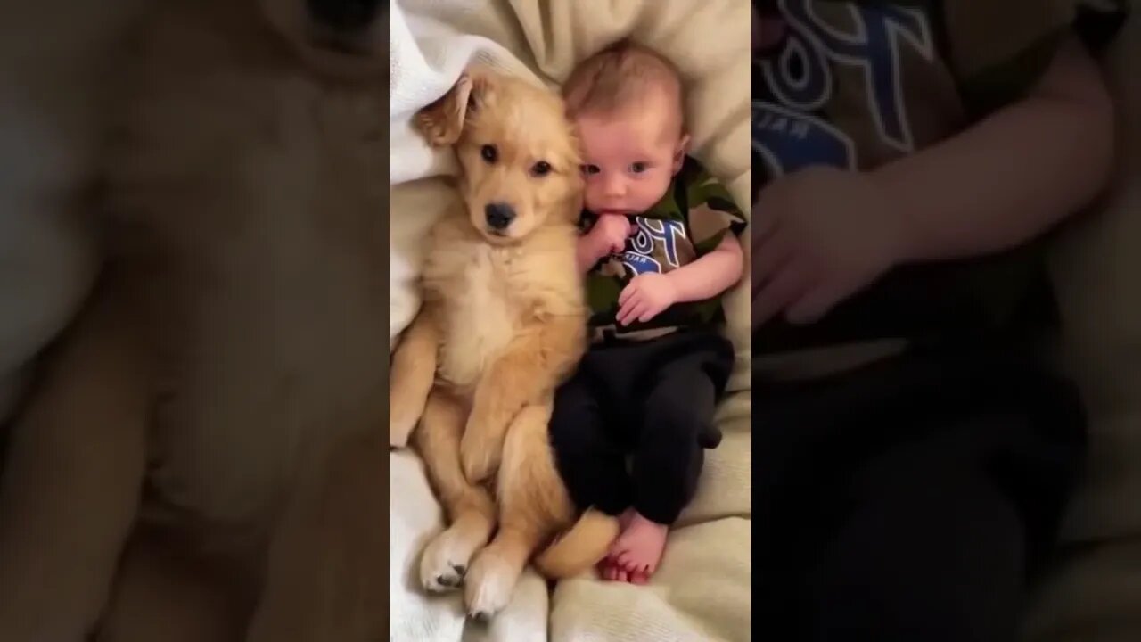 🐕Puppy's My Brother🍼#shorts