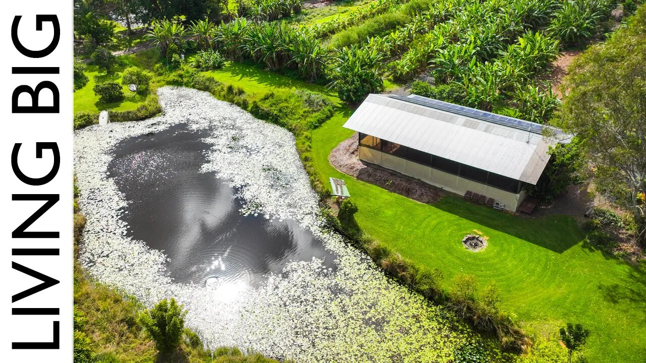 Tour An Amazing Permaculture Farm With Food Forest Gardens & Tiny House Community!