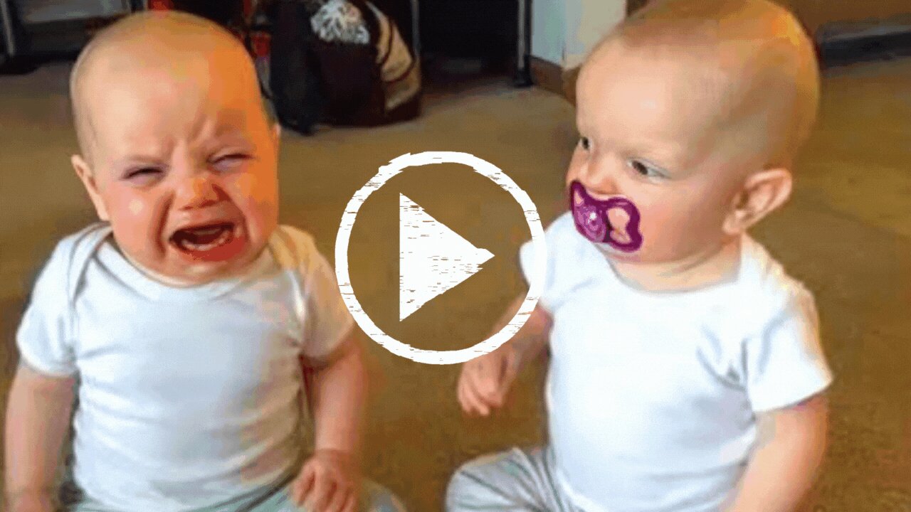 Twins Baby Videos