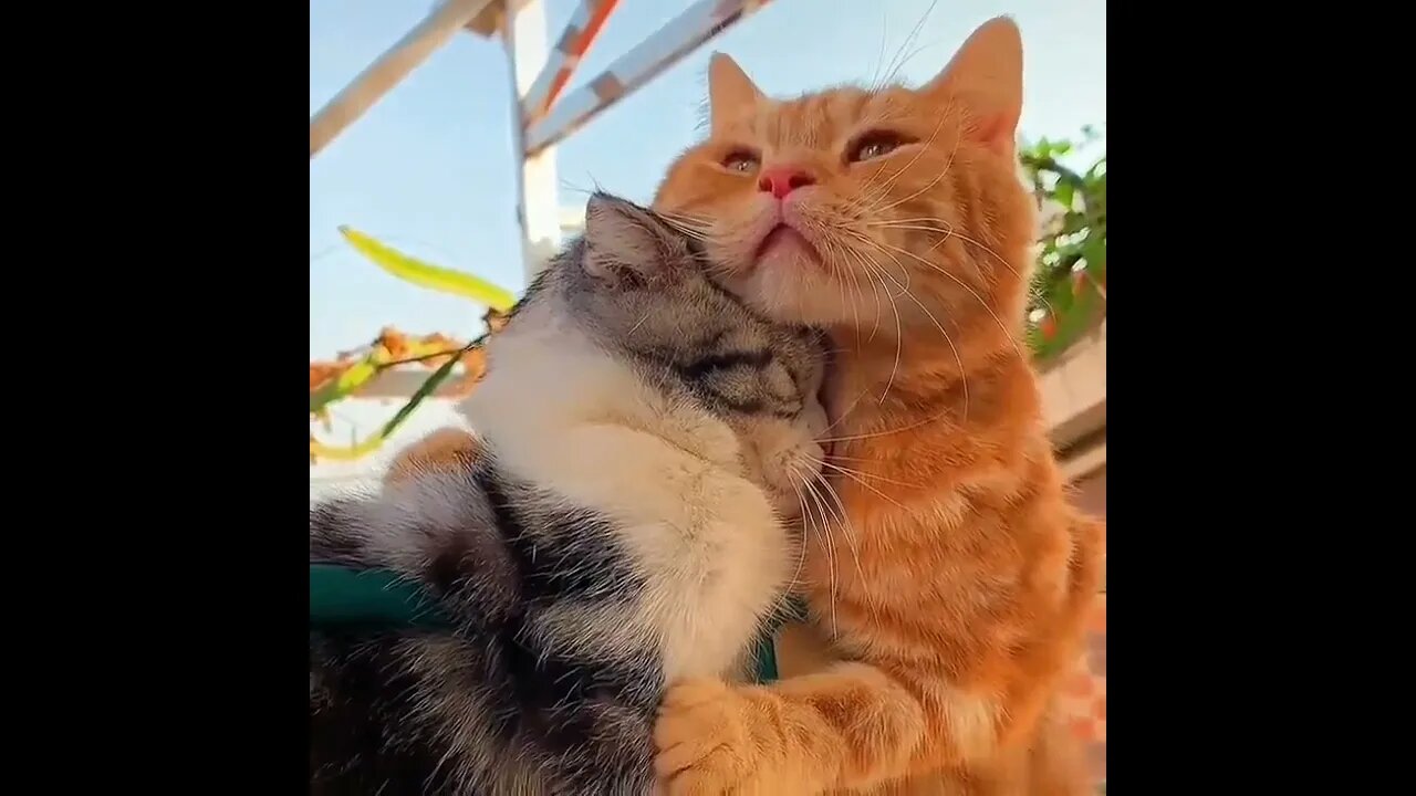 "It’ll be alright”