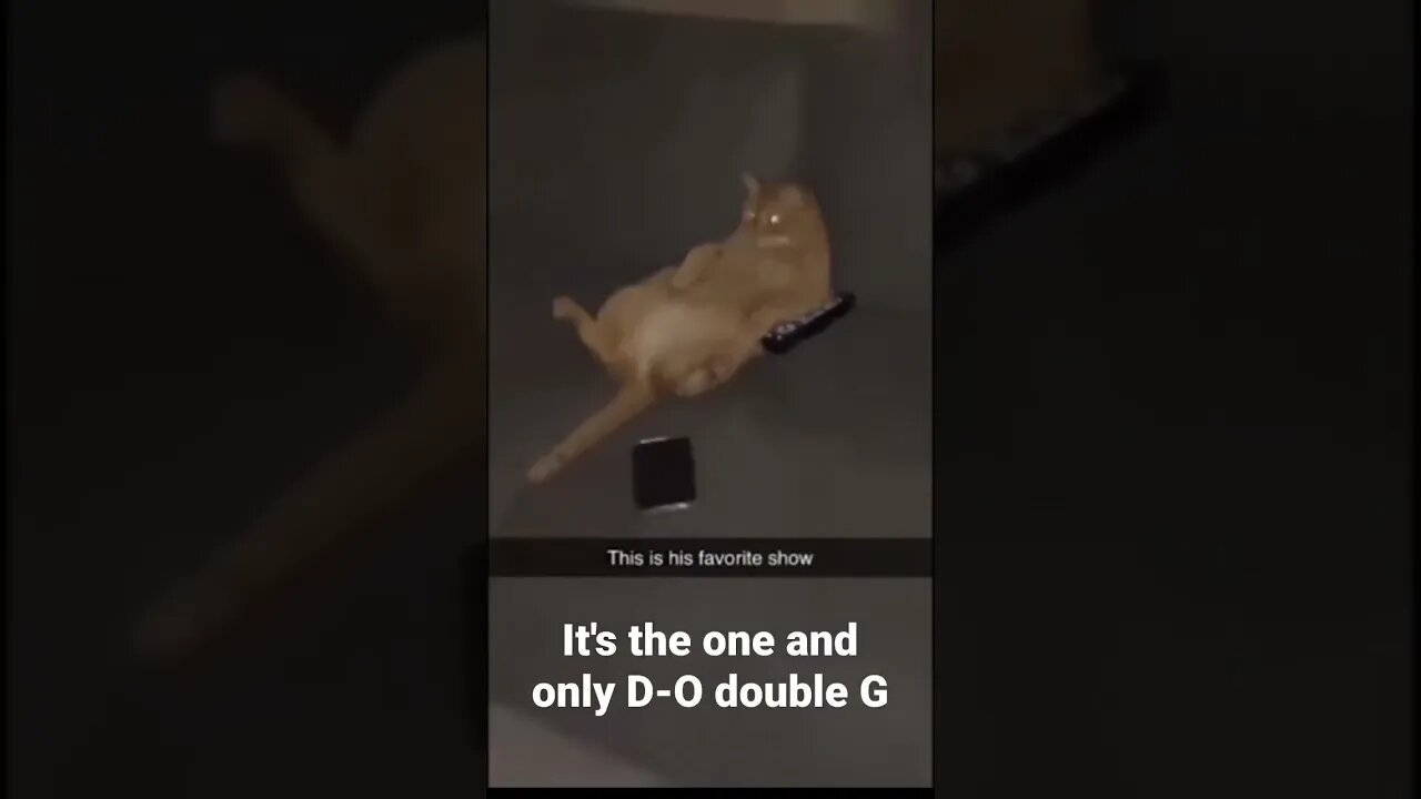 MEME is the one and only D-O double G #shorts