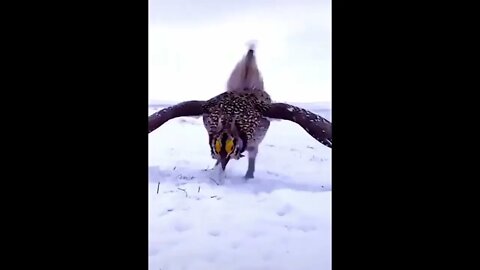Anyone Know What This Is?