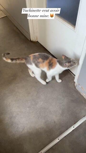 Yuchinette calls for water