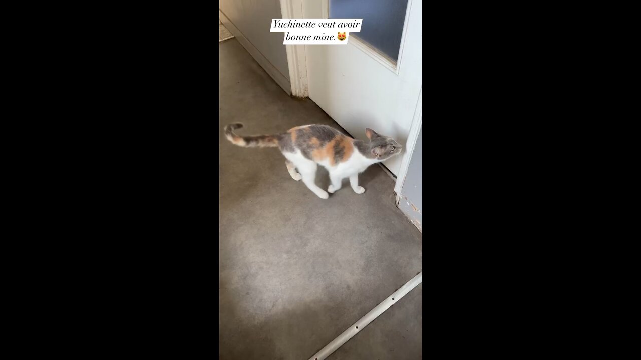 Yuchinette calls for water