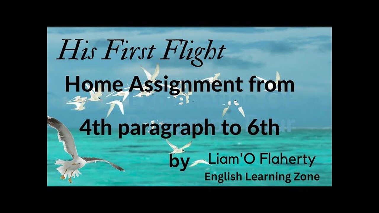 His first flight || Homme Assignment|| story || prose || Command English