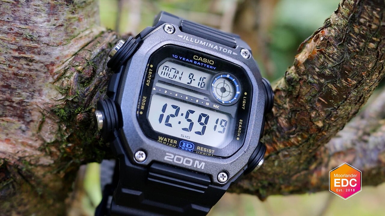 Yet another great non-GShock Casio watch - DW-291-H