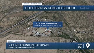 7-year-old brought guns, ammo to school