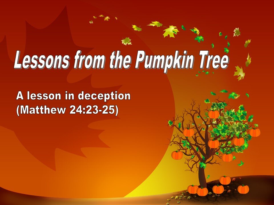 July 30, 2023: "Lessons From The Pumpkin Tree" (Matthew 24:23-25)