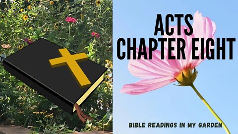 ACTS Chapter 8 | NRSV Bible