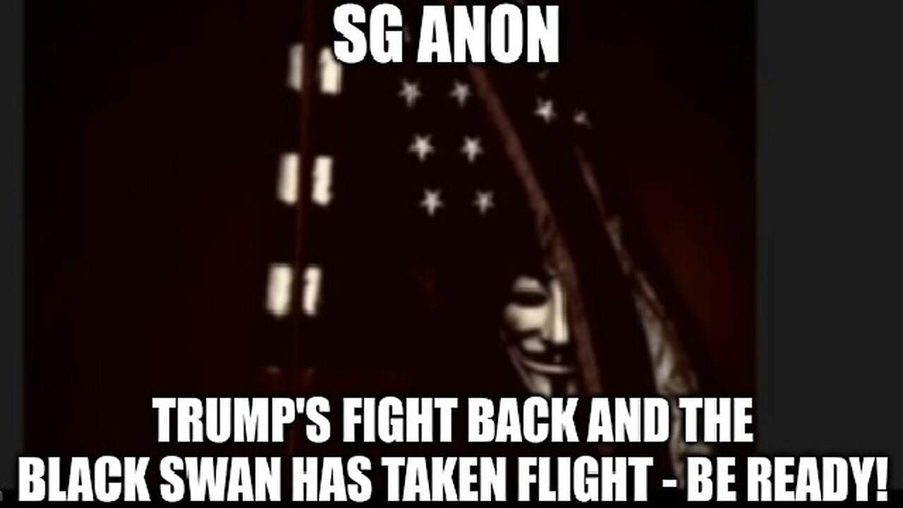 SG Anon: Trump's Fight Back and The Black Swan Has Taken Flight - Be Ready!