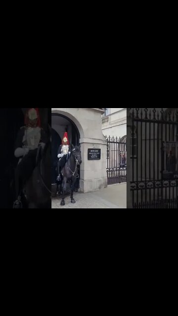 Horse taken back to stables 10 September 2022 #horseguardsparade