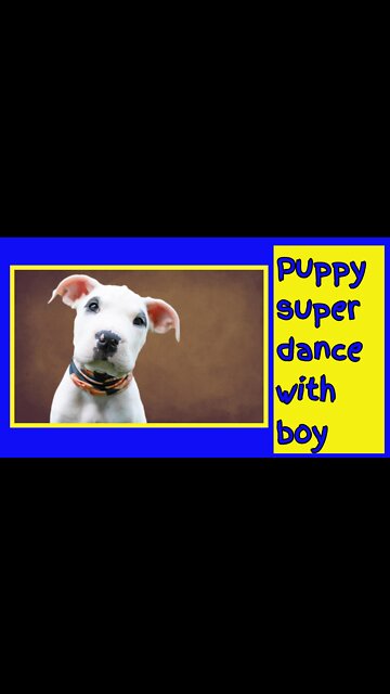 Dog dancing | in the street | #dog #cat #vira #Entertainment #fun #funy