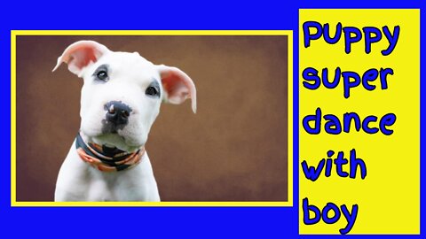 Dog dancing | in the street | #dog #cat #vira #Entertainment #fun #funy